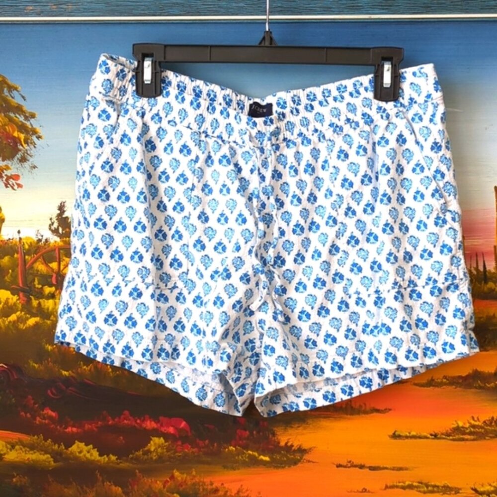 J. Crew Blue and White Patterned Women Shorts